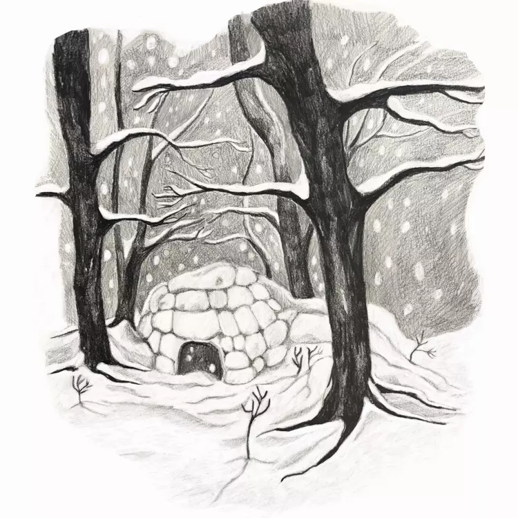 A book illustration of an igloo in a snowy forest.